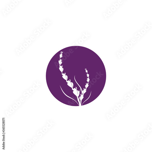 Lavender Logo Template vector symbol