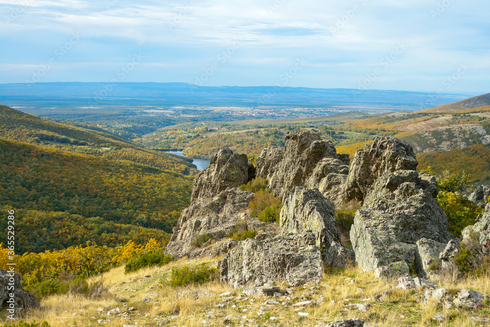 Rock escarpment with background autumnal oak, Riofrio, Segovia.