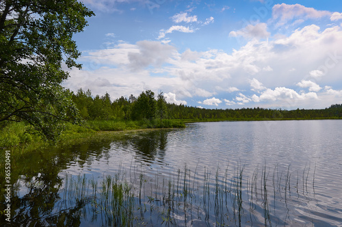 Shore of forest lake. Clouds in the blue sky.