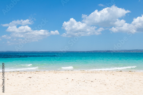 Wallpaper Mural Prison Island, Zanzibar, Tanzania Torontodigital.ca