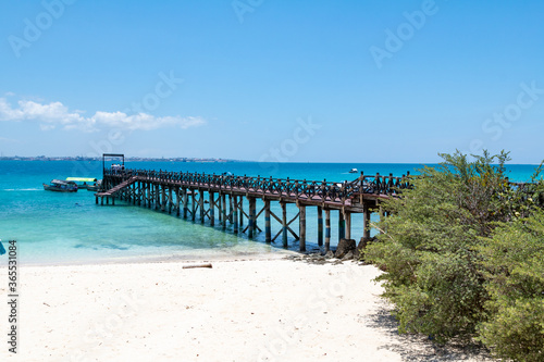 Pier on Prison Island  Zanzibar  Tanzania
