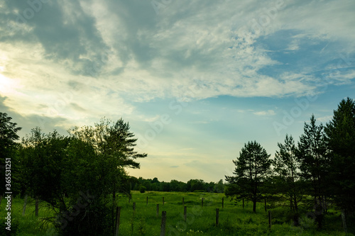 Landscape on an open meadow and forest against the background of a blue sky with little cloud