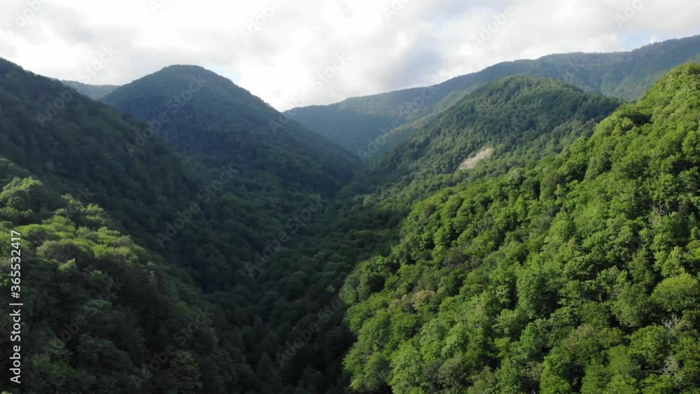 Aerial view of mountain gorge hills covered by green forest. Drone camera pan and flies over mountain settlement, beautiful hilly landscape sunny weather Aerial view of mountain gorge hills covered by green forest. Drone camera pan and flies over mountain settlement, beautiful hilly landscape sunny weather