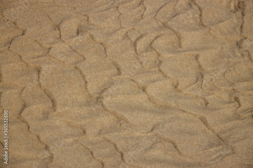  original background of golden sand on the beach