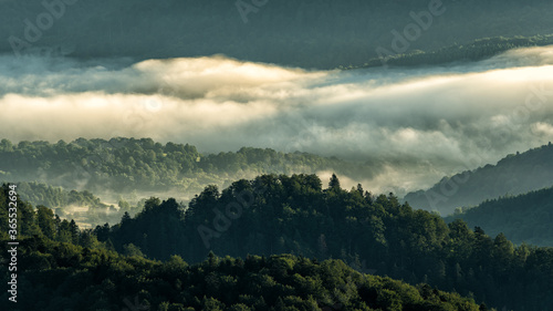 Fototapeta Naklejka Na Ścianę i Meble -  A hazy sunrise in the mountains. Mountains silhouettes and fog in the valleys. Photo from Polonina Wetlinska. Bieszczady National Park. Carpathians. Poland.