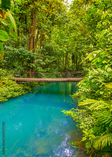 Rio Celeste with turquoise, blue water and small wooden bridge Tenorio national park Costa Rica. Central America. photo