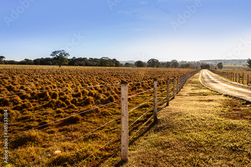 Fotografie Entardecer em cena campestre
