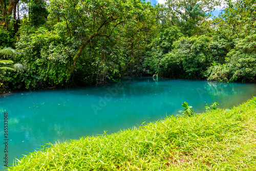 Rio Celeste with turquoise  blue water. Connection of two rivers and chemical reaction  water become blue - turquoise. Tenorio national park Costa Rica. Central America.