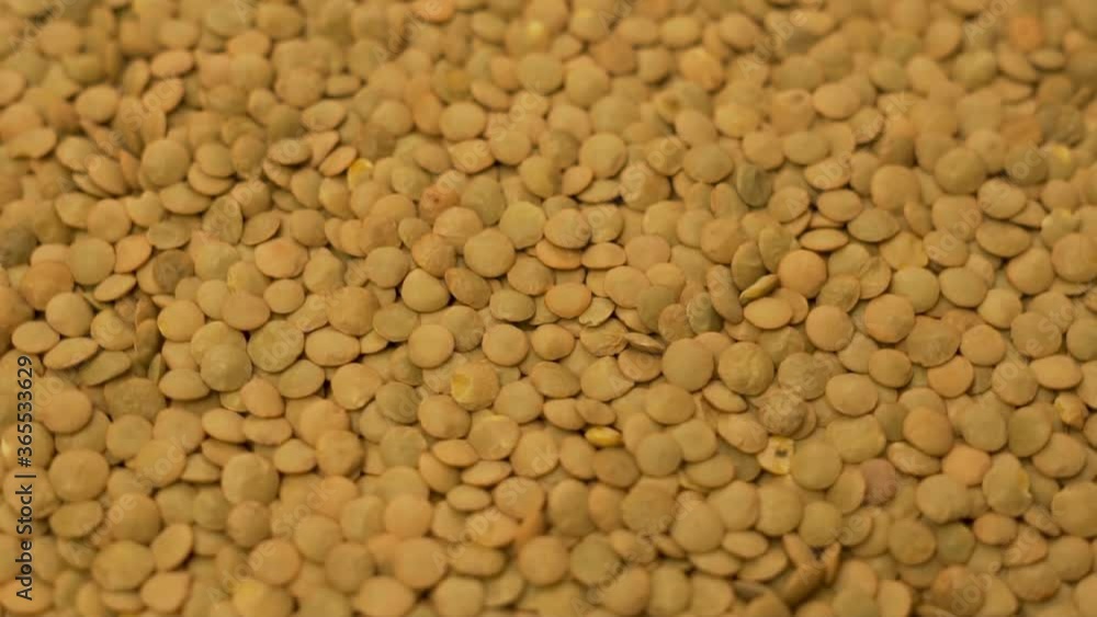 The Concept Of A Healthy Vegan Diet. Close-up of Lentils. Lentils Are Isolated. Rotation The Concept Of A Healthy Vegan Diet. Close-up of Lentils. Lentils Are Isolated. Rotation