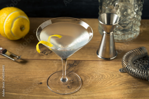 boozy Refreshing Gin Martini