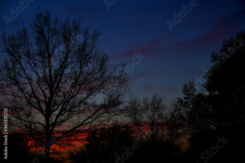  colorful sunset with red sky and trees and clouds © Joanna Redesiuk