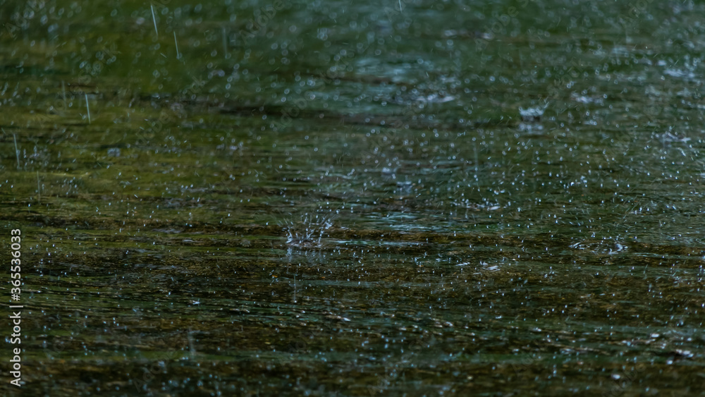 Fototapeta premium The background of water droplets splashed on the road surface