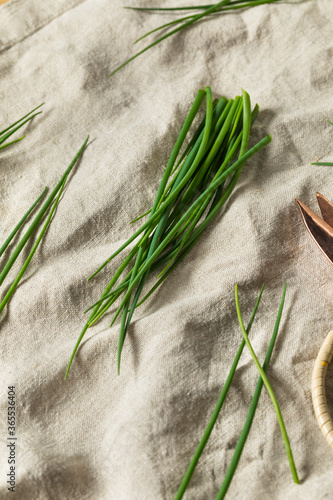 Raw Green Organic Fresh Chives