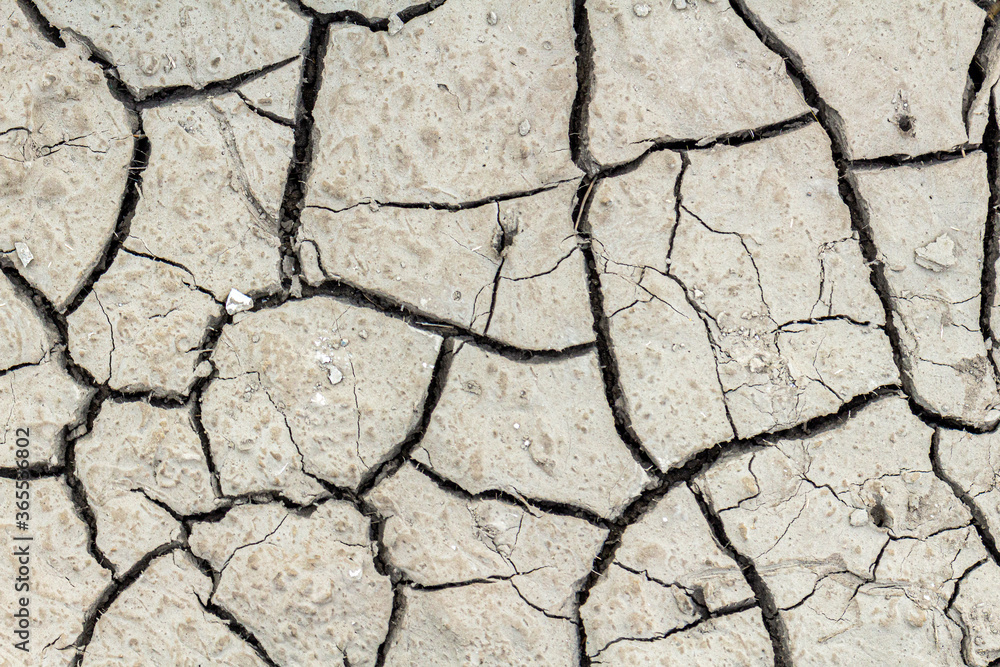 Fototapeta premium Cracked dried earth texture background, close up.