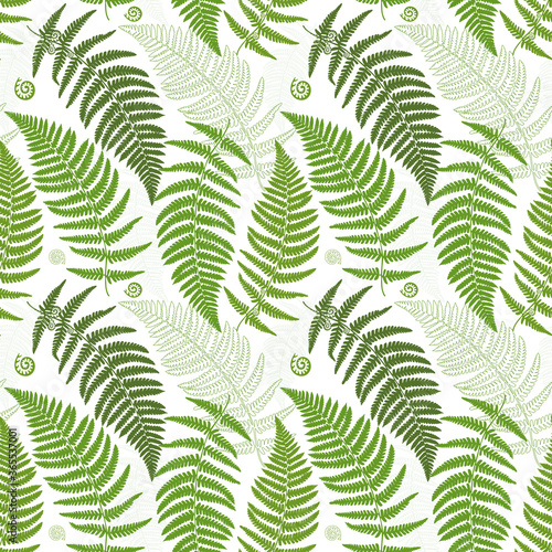 Seamless pattern with fern leaves. Exotic green plants