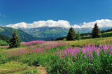 Mountain landscape at resort Les Saisies, Savoie, France