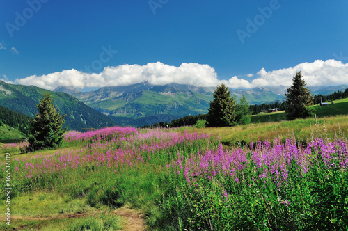 Mountain landscape at resort Les Saisies, Savoie, France © Luc Bianco