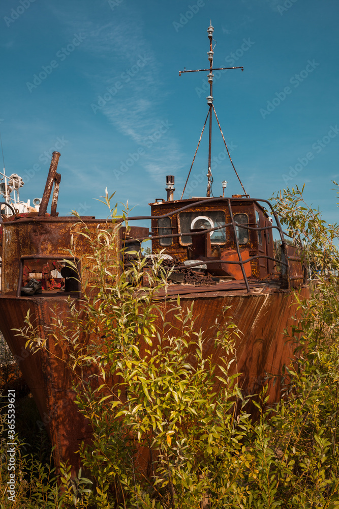 An old rusty broken ship, abandoned on the beach, in the middle of a thicket of grass.