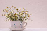 wild white daisies on a white wooden background. flower composition