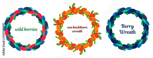 set of three wreaths with wild red and blue berries, sea buckthorn and leaves on a white background. modern abstract design for packaging, print for clothes, fabric, for postcards