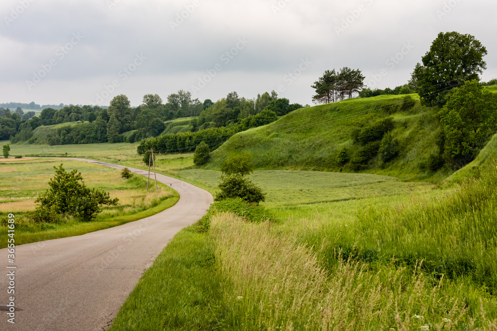 Picturesque green landscape view of road winding in grassy hills area. Krasnystaw, Lubelszczyzna, Poland, Europe.