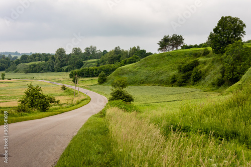 Picturesque green landscape view of road winding in grassy hills area. Krasnystaw, Lubelszczyzna, Poland, Europe.