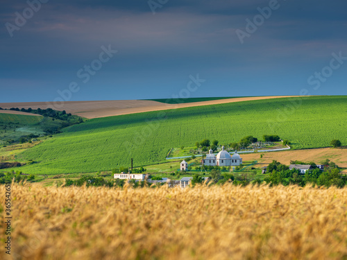 Photography view to real ukrainian landscape with yellow wheat field, church and blue sky wi