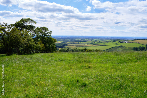A grassy meadow in the Yorkshire Wolds overlooks a green valley on a sunny day in England photo