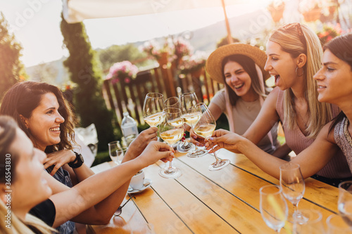 Wall Mural Young female friends clinking glasses with wine on the summer terrace of cafe or