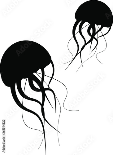 vector illustration set of silhouette jellyfish graceful on isolated background