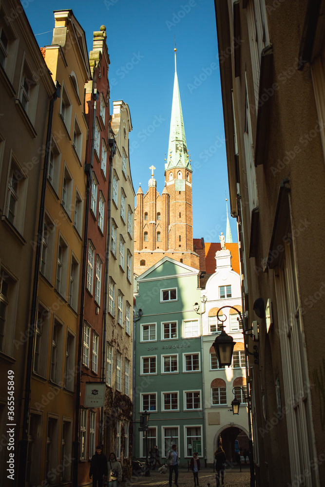 Fototapeta premium old houses in gdansk