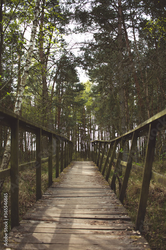 wooden bridge in the park