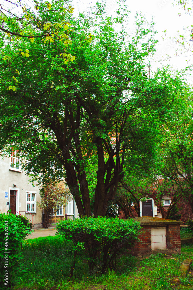 house in the park