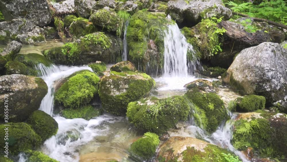 Beautiful relaxing stream of fresh mountain water flowing through a deep lush green forest. Staircase Waterfalls and Mossy Rocks. Nature Reserve. Austria