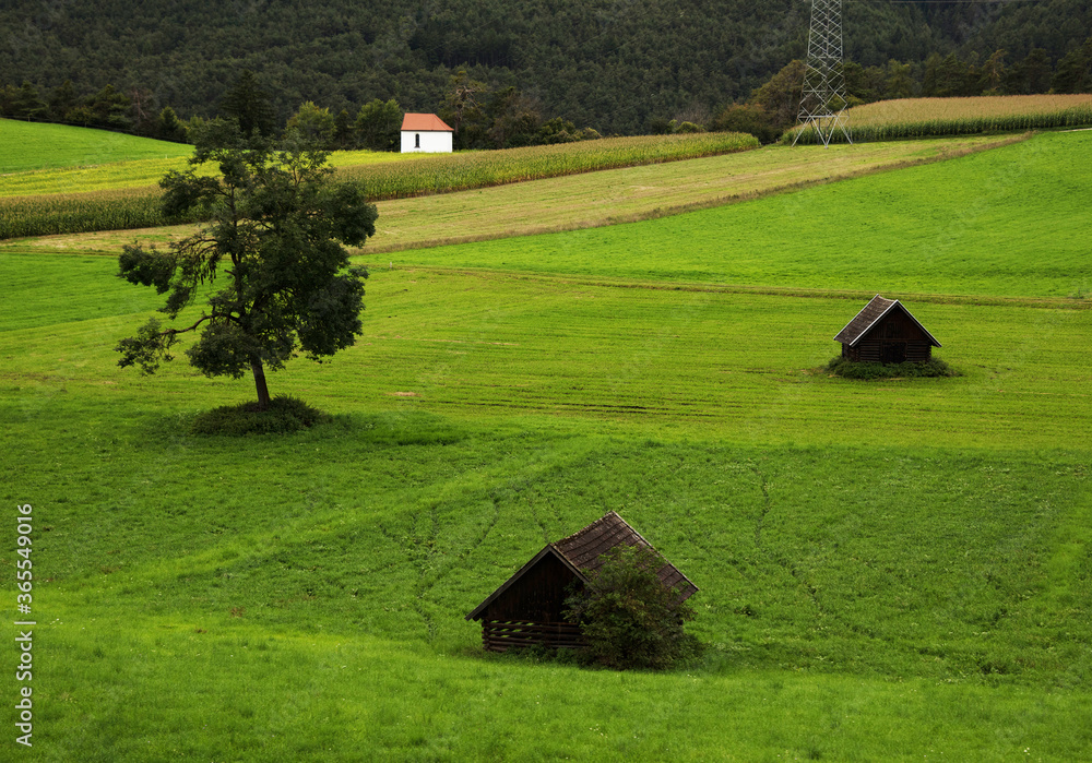 Alpine landscape of Bavaria, Germany, Europe Alpine landscape of Bavaria, Germany, Europe