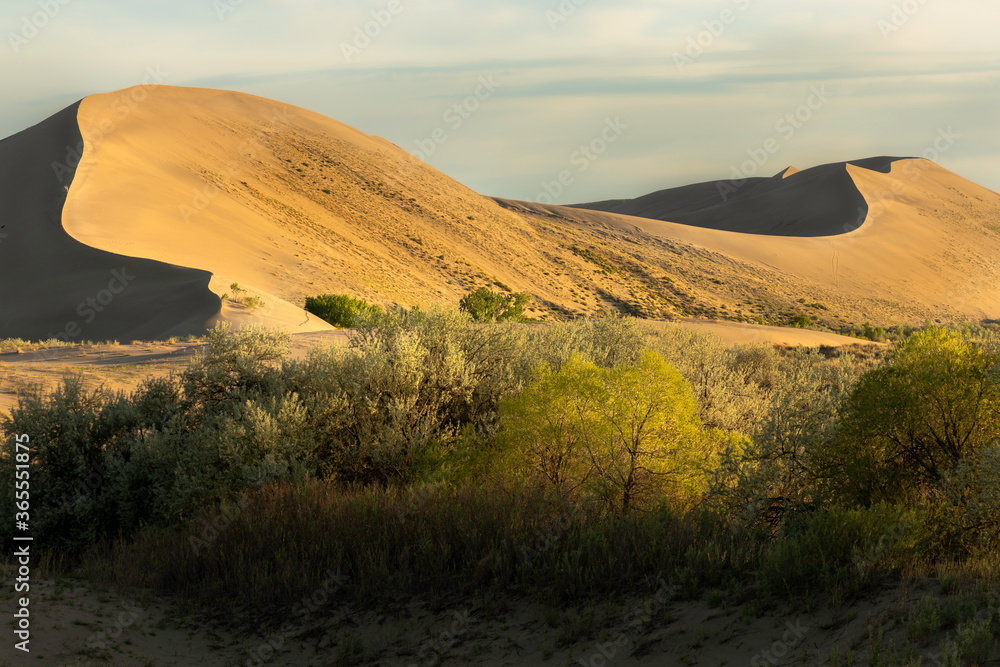 Fototapeta premium Bruneau Sand dunes, Idaho
