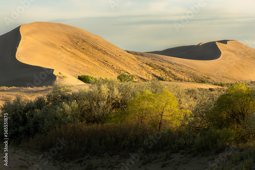 Fototapeta Naklejka Na Ścianę i Meble -  Bruneau Sand dunes, Idaho