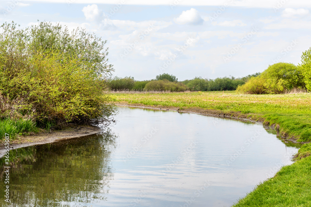 Wild river on the meadow.