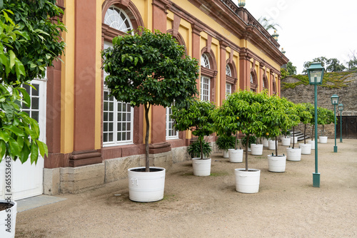 Orangerie im Schloss Weilburg © Cezanne-Fotografie