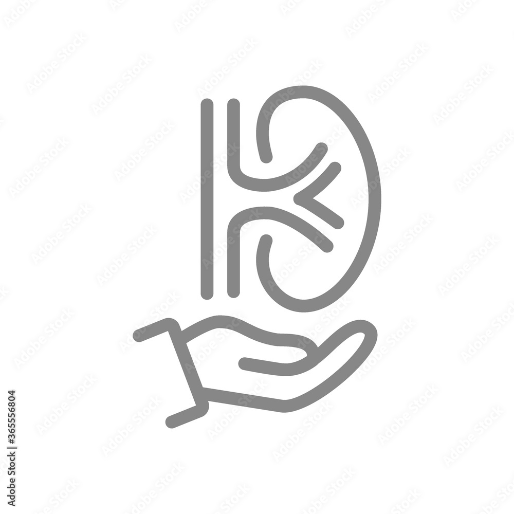 Human kidney on hand line icon. Rescue, treatment, disease prevention symbol Human kidney on hand line icon. Rescue, treatment, disease prevention symbol