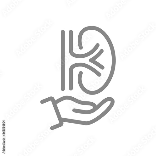 Human kidney on hand line icon. Rescue, treatment, disease prevention symbol