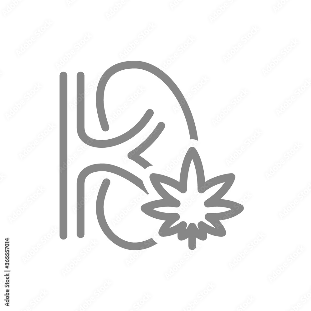 Human kidney with marijuana leaf line icon. Cannabis treatment, anesthesia symbol Human kidney with marijuana leaf line icon. Cannabis treatment, anesthesia symbol