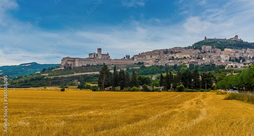 A view across the fields towards the town of Assisi, Umbria, Italy and the Basilica of Saint Francis in the summertime A view across the fields towards the town of Assisi, Umbria, Italy and the Basilica of Saint Francis in the summertime