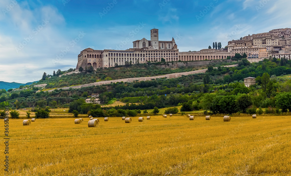 Harvest time in the fields around Assissi, Umbria, Italy overlooked by the Basilica of Saint Francis in the summertime