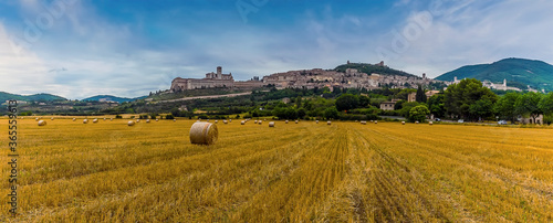A panorama view across a field of hay stretched out beneath the Basilica of Saint Francis and the town of Assisi  Umbria  Italy in the summertime