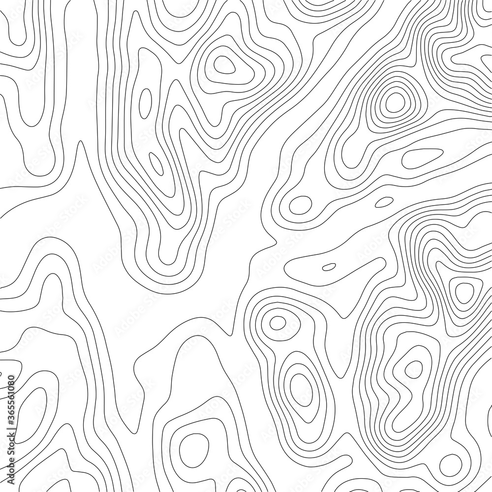 Obraz premium Abstract Topographic Contour Map Template. Abstract composition of black circles and lines on a white background. EPS10 Vector