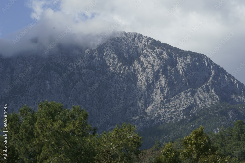View of the mountain peak among the trees View of the mountain peak among the trees