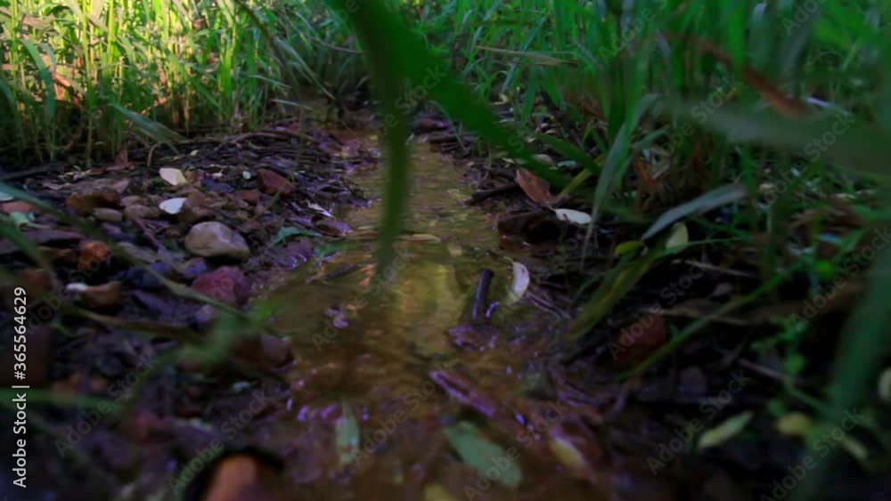 Close up shot of running water through the grass. Small Stream in rainy weather Close up shot of running water through the grass. Small Stream in rainy weather