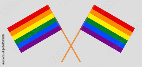 Crossed LGBT flags. Six colors. Correct proportion