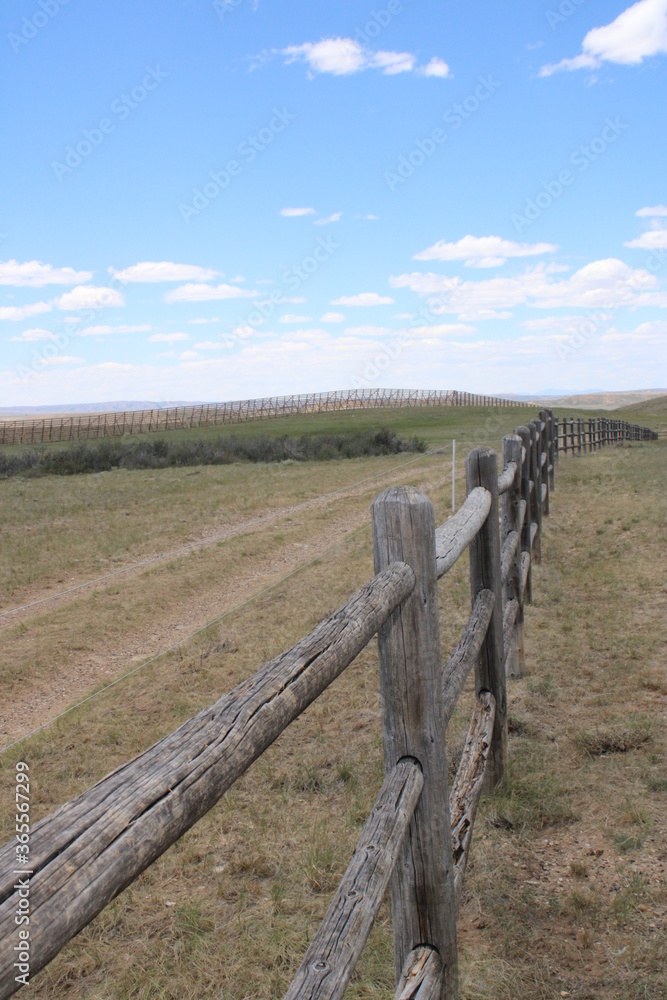 Obraz premium wooden fence in the field